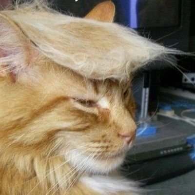 vinz9119's profile picture. Crypto Enthusiast | Data Analyst | MOD at @banksea_finance  @xMoonLana  
#Bitcoin #NFT 

Discord-vinz#9119