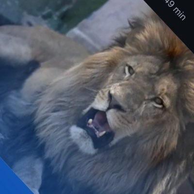 Rodolfo96370426's profile picture. nada