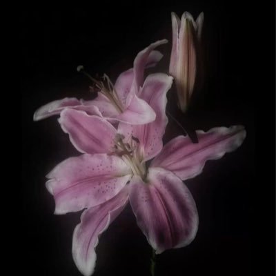 freethegrid_'s profile picture. 