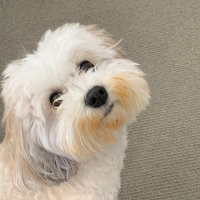 easysyd's profile picture. Watcher ✝️