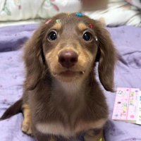 와파이 (@wwwjenjen_) 's Twitter Profile Photo