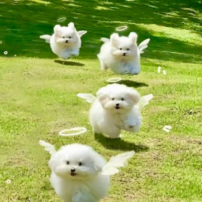 6sswp's profile picture. 