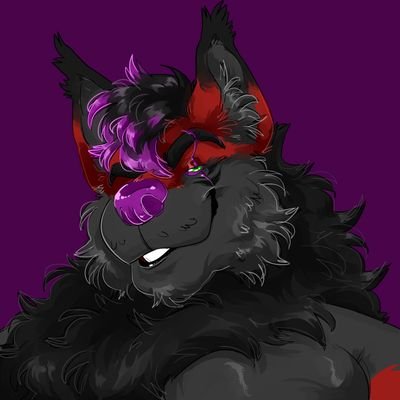 KristoffMaxi's profile picture. |21Y| |Bara Fox| |Amigável| |Streamer iniciante| |Goiano| |Pansexual| |Top| |NSFW| |No minors!|