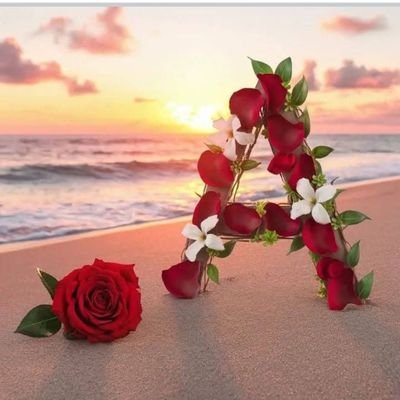 AnwarShahadat8's profile picture. 