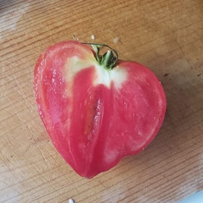 ottolink256's profile picture. 