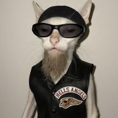 Eric_710's profile picture. ◉⃤