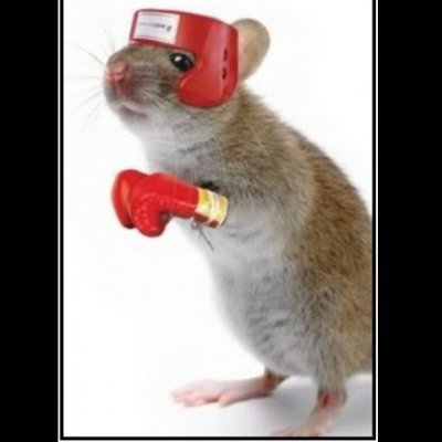 Oroboruscomplex's profile picture. Yeah