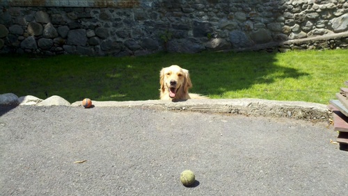 savunh's profile picture. Fairly logical human being