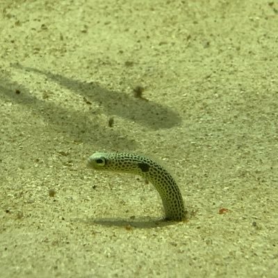 QtQ4q's profile picture. 日頃の不満や愚痴、思った事をつぶやくだけのものです。 イマイチ使い方が分かりません。押し逃げすみません。