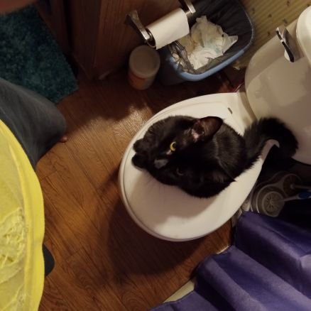 neidlinger71816's profile picture. My picture, someone hacked my account.