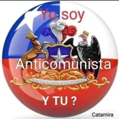 Amo a Chile !! y me duele el ❤️ ver cómo lo destruyen siempre por la derecha! cada día nos están robando el derecho a vivir en paz