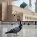 ام الحبايب (@30200_7ala) Twitter profile photo ام الحبايب (@30200_7ala) Twitter profile photo