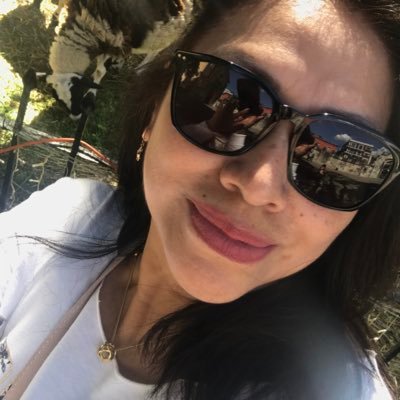 Persona, mujer, humana responsable de tres michis , observadora, sensible y aprendiz eterna.