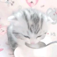 charmmy (@hidden_glo) 's Twitter Profile Photo charmmy (@hidden_glo) 's Twitter Profile Photo