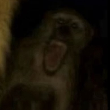 Xavier_XSX's profile picture. 