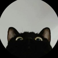 Ho (@__0237__) 's Twitter Profile