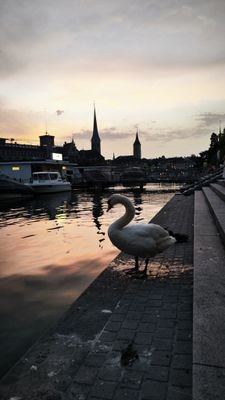 SanKevin401's profile picture. wakaka