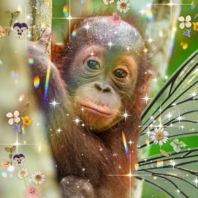 that one friend thats too orangutan,,, ୧ ‧₊˚ 🌿⋅ || i post art, primates, vintage stuff, and ramblings!! 🦧 || pfp by @SANNDEX !!!
✿ vr stuff: @OrangutannieVR