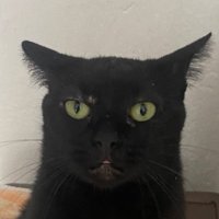 Ennur (@ennurrozer) Twitter profile photo