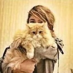 Arwheeceap3466's profile picture. 