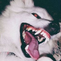 cain. ♰ (@muttactivities) 's Twitter Profile