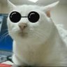 IamQmars's profile picture. 