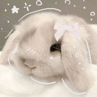 bea🧸🎀🫧 edtwt (@liddlebunniee) 's Twitter Profile