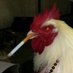 Gallina Cósmica 🐔♥️ (@gallinacosmicaa) Twitter profile photo Gallina Cósmica 🐔♥️ (@gallinacosmicaa) Twitter profile photo
