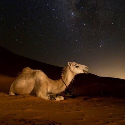 فـ بالله صبرٌ، وبالله يسرٌ، وبالله عونٌ🤍.