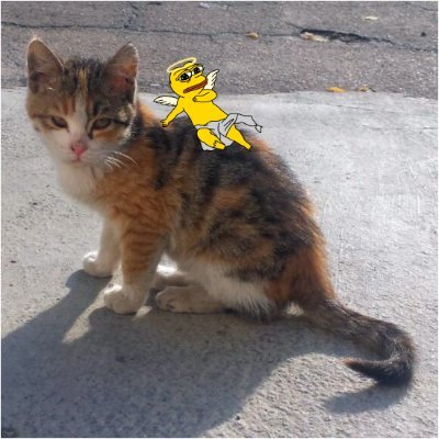 Maxii_2019's profile picture. Blockchain rookie exploring the digital currency world. Learning, curious, and ready to dive into cryptocurrency.
Sahara #0312961