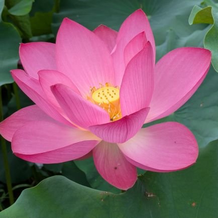 c8Ve3zwMhV26006's profile picture. 家庭連合信者です!