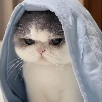 LercsxEllis's profile picture. 部屋を片付けない女性はみんな汚い女性だ