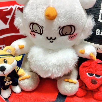 🎓博士課程 Ph.D. student/Tokyo University/Social Movements/社会運動論/労働・福祉・教育社会学/🏀アルバルク東京/❎禁酒!/※情報整理のため頻繁にツイ消しします。/※告知の時だけ鍵を外します。/⭐I sometimes tweet in English!