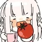 🍅ラハ光(라하빛전)🌸, ❄️オル光(오르빛전)🌸 비이입 드림 / 황금 7.2완료 / 🚫REPOST/USE/AI🚫