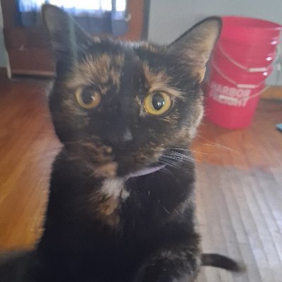 Lightswitch143's profile picture. 