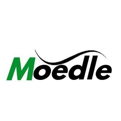 HR and recruitment partner in the UAE | Staffing | Payroll | PRO | #MoedleGroup
