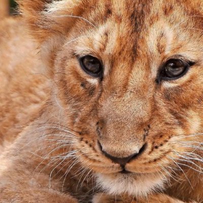 Skand77296823's profile picture. 科學 科學新聞 科技