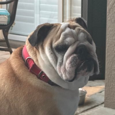 JenniferStrby's profile picture. America First, MAGA, Bringing back common sense