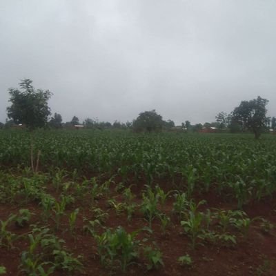 BarakaaJames's profile picture. kwani inakuhusuuuuu?