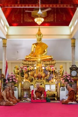 Sense6FuckU's profile picture. I am a golden chicken