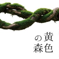 河合穂高×下鴨車窓『黄色の森』 (@kiiro_no_mori) 's Twitter Profile Photo