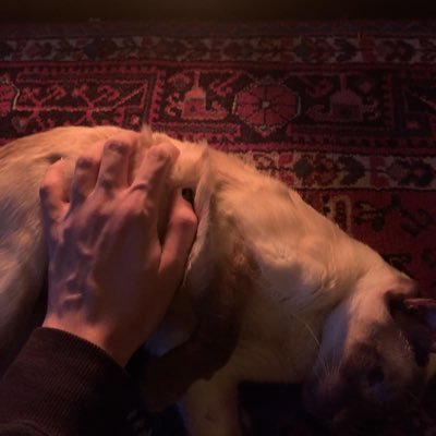 H2REnjoyer's profile picture. 18 | Retired radiant player 😔 | Road to Voltaic GM