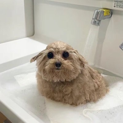 HongMinhPh72439's profile picture. 