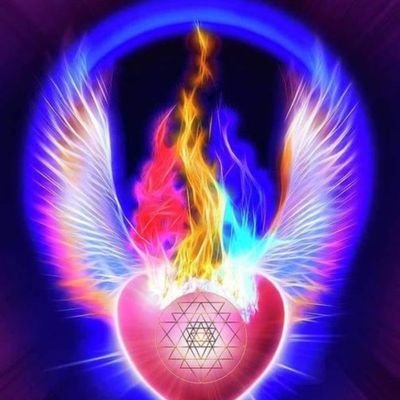 LsQsT1's profile picture. 