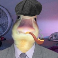 david (@david5539714584) 's Twitter Profile