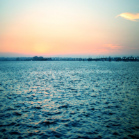 1BKzIcBHWD32674's profile picture. ヨガインストラクター、現代美術鑑賞を趣味とする投資センスの優れた、独立心旺盛な人物です。投資顧問として活動中、新しい挑戦を続けています。