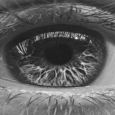 Deepvision65's profile picture. 