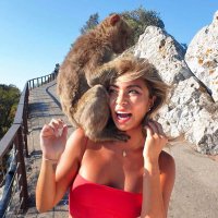 Ann George 🕊️ (@theanngeorge) 's Twitter Profile