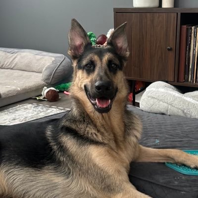 ericksonhotels's profile picture. Profit + Equity