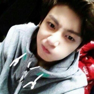 🗯silence! you are disturbing me watching videos of puppies with jungkook! |@isaquierealfa|@tygpou|@ggkhoria